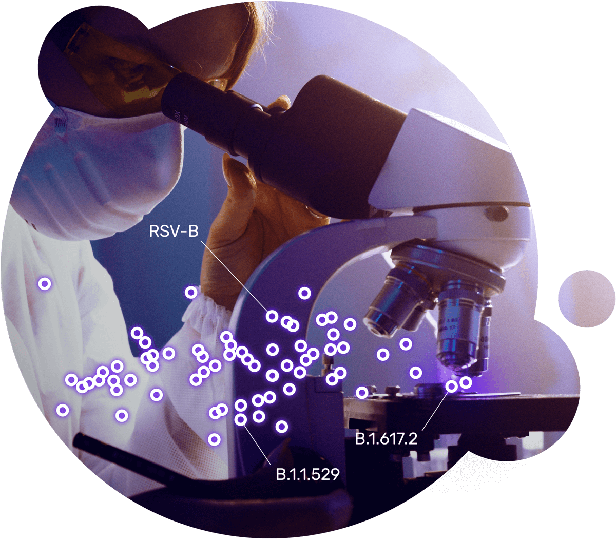 Pseudoviruses for neutralizing antibody (NAbs) detection assays for vaccine development