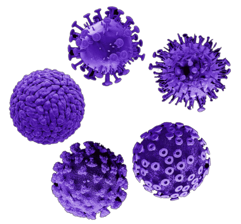 Several pseudotyped artificial viruses and artificial cells can be generated in the AbVenger neutralizing bioassay detection kit