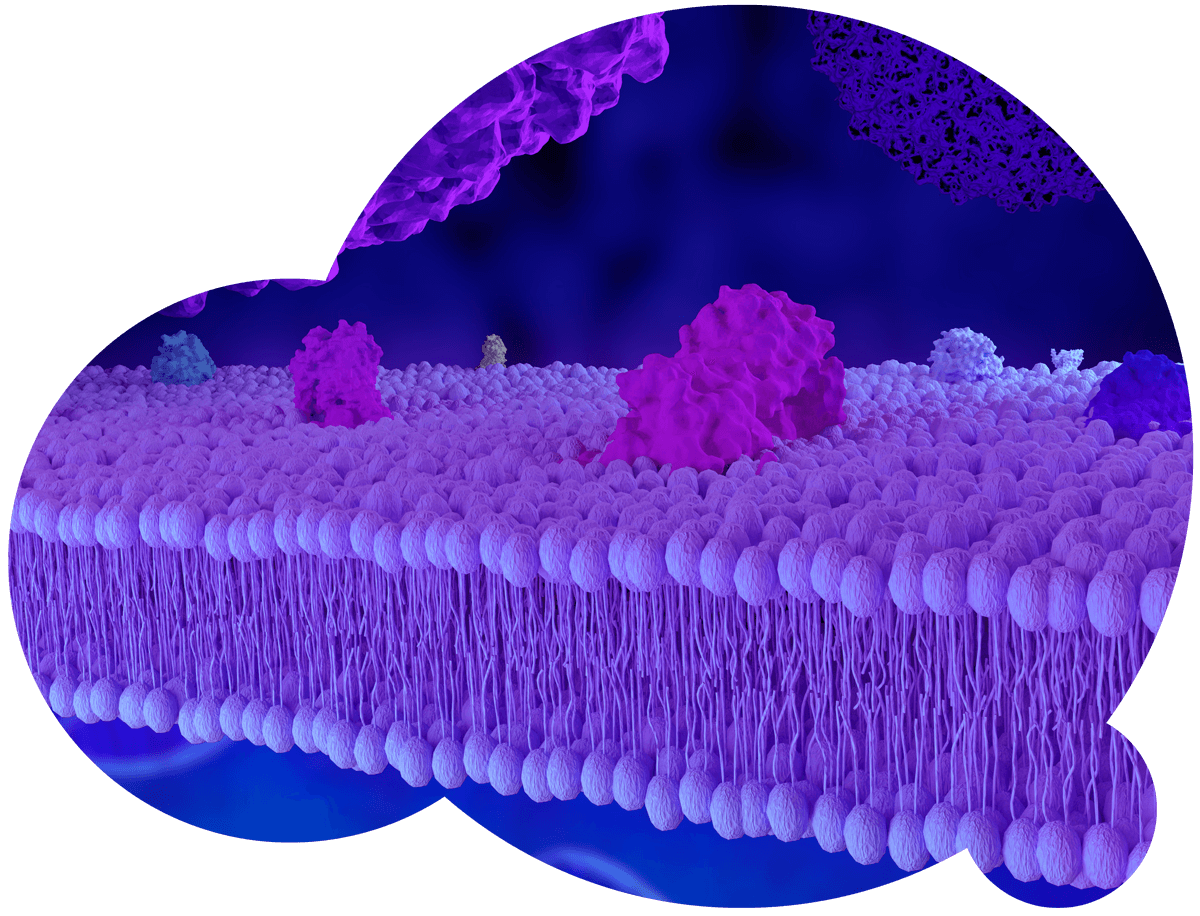 Artificial membrane made by biotechnology engineering for vaccine development