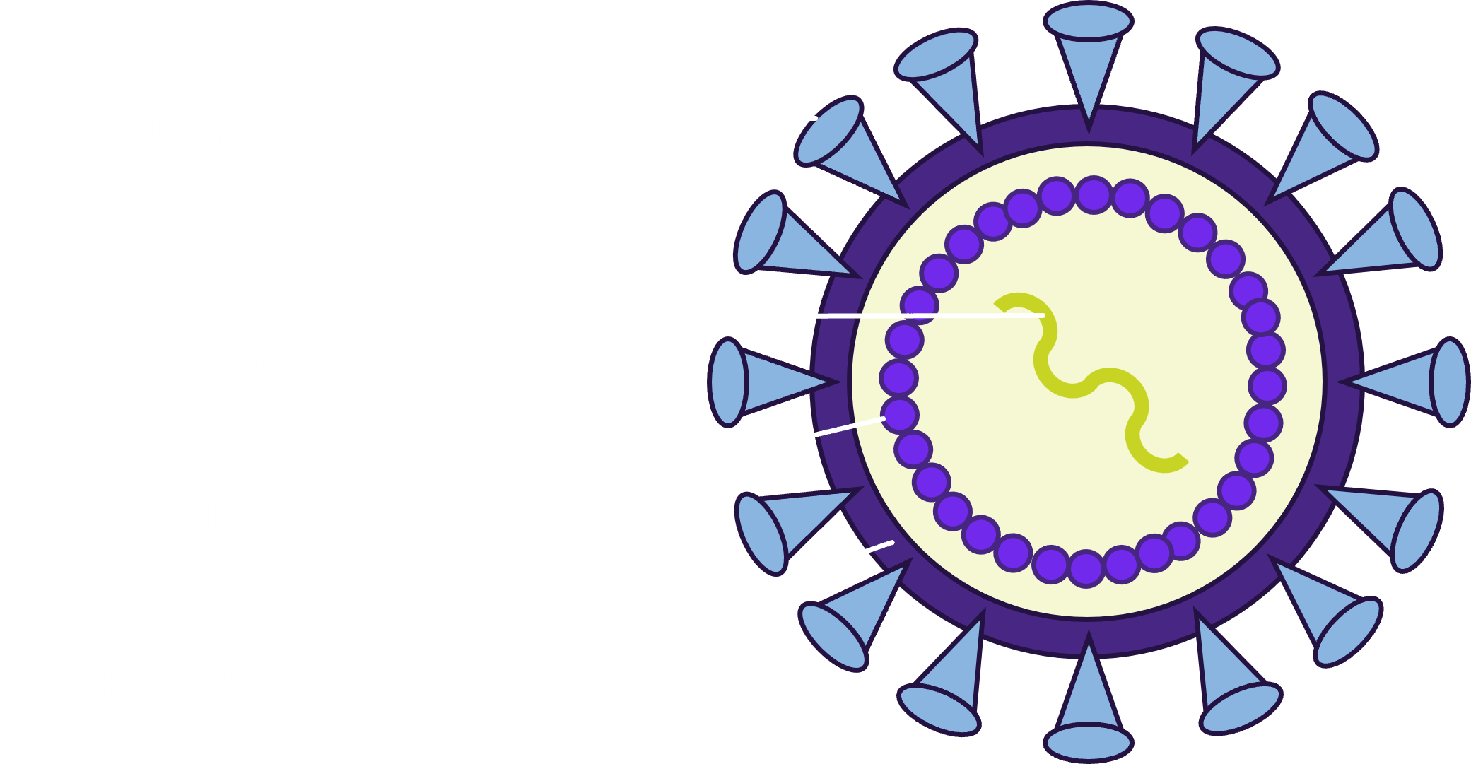Influenza A Pseudovirus - IVANO Bioscience